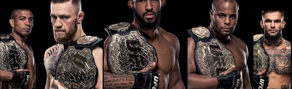 parier sur le mma en france photo combatant